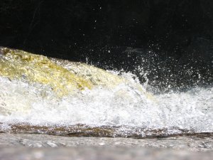 IMG_0611.JPG