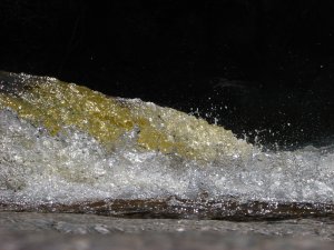 IMG_0613.JPG