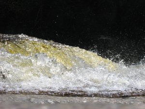 IMG_0614.JPG