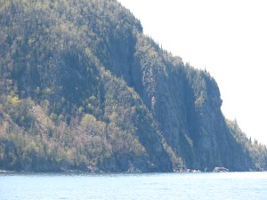 IMG_0619.JPG