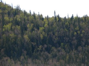 IMG_0620.JPG
