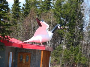 IMG_0638.JPG