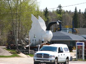IMG_0640.JPG