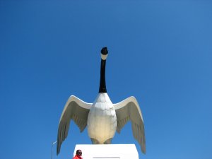 IMG_0649.JPG