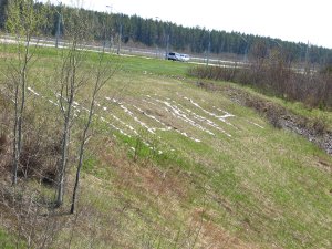 IMG_0652.JPG