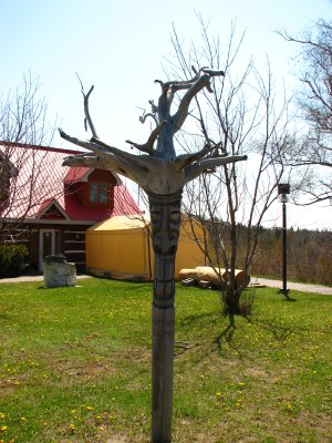IMG_0653.JPG