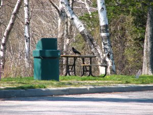 IMG_0656.JPG