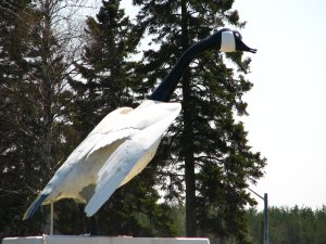 IMG_0657.JPG
