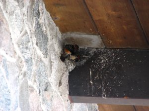 IMG_0658.JPG