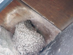 IMG_0662.JPG