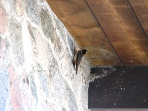 IMG_0663.JPG