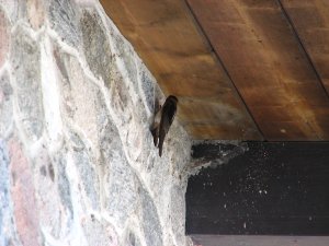 IMG_0664.JPG