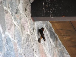 IMG_0665.JPG