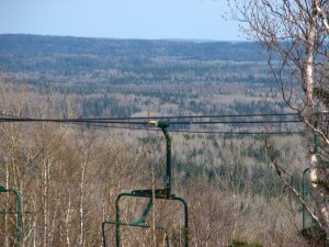 IMG_0677.JPG