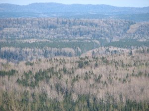 IMG_0680.JPG