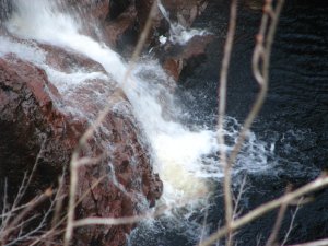 IMG_0708.JPG
