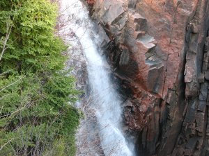IMG_0709.JPG