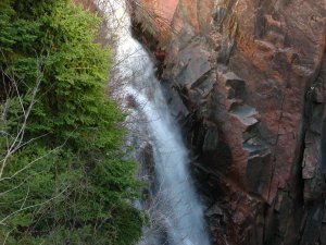 IMG_0712.JPG