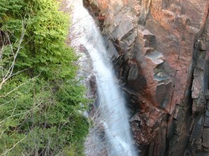 IMG_0713.JPG