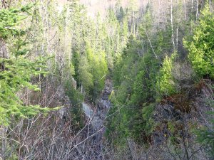IMG_0719.JPG