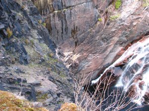 IMG_0723.JPG