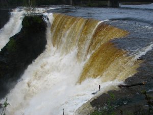 IMG_0789.JPG