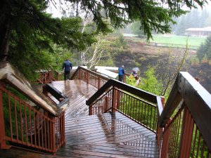 IMG_0793.JPG