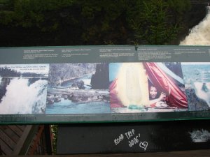IMG_0795.JPG