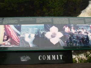 IMG_0796.JPG
