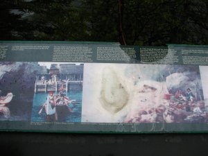 IMG_0801.JPG