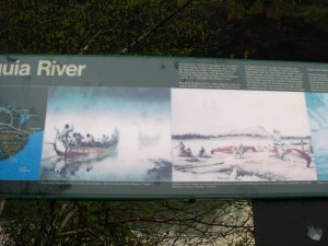 IMG_0806.JPG
