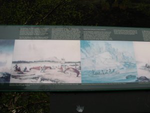 IMG_0807.JPG