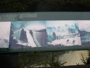 IMG_0810.JPG