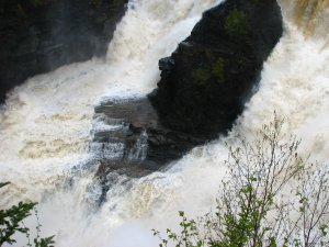 IMG_0812.JPG