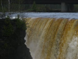 IMG_0818.JPG