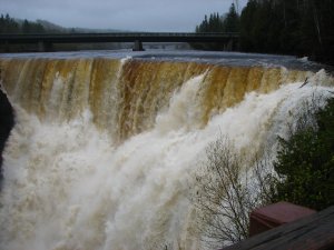 IMG_0821.JPG