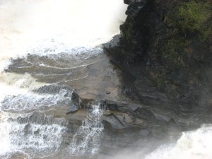 IMG_0833.JPG