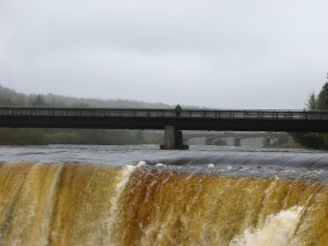 IMG_0842.JPG