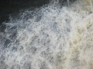 IMG_0843.JPG