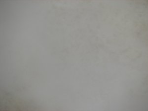 IMG_0844.JPG