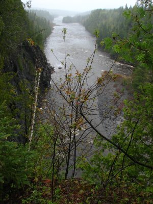 IMG_0848.JPG