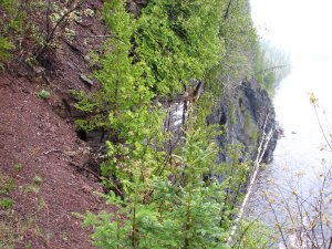 IMG_0849.JPG