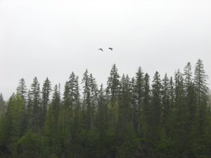 IMG_0860.JPG