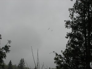 IMG_0861.JPG