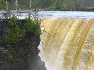 IMG_0869.JPG