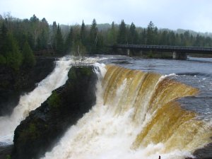 IMG_0870.JPG