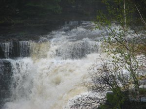 IMG_0871.JPG
