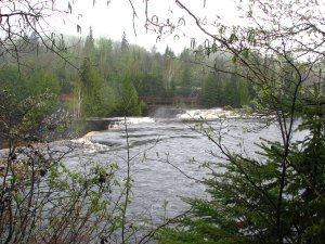 IMG_0873.JPG