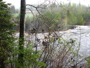 IMG_0874.JPG