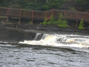 IMG_0877.JPG